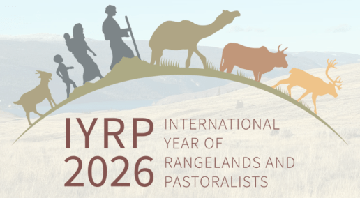 2026 is the International Year of Rangelands and Pastoralists: Let&rsquo;s celebrate!