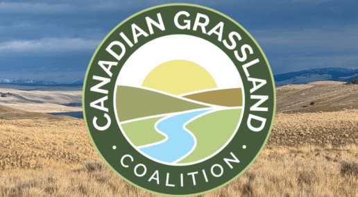 Canadian Grassland Coalition is showcasing the secret life of grasslands