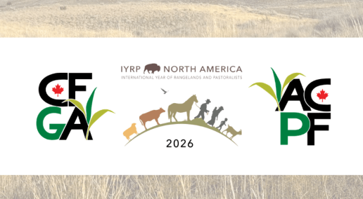 Celebrating IYRP: Stewardship, mobility and the future of rangelands