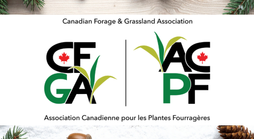 Celebrating the season: CFGA holiday message