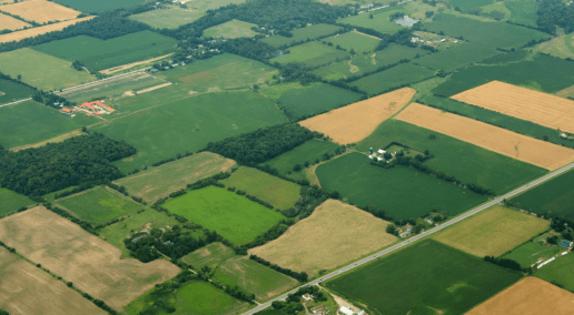 Photo of land plots of fields and grasslands