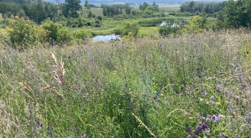 CFGA Partner Spotlight: Ducks Unlimited Canada