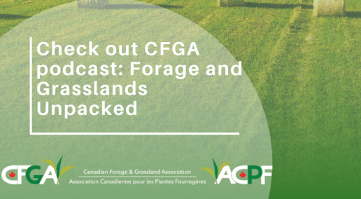 Check out CFGA podcast: Forage and Grasslands Unpacked