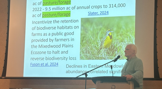 Conference 2024 Recap: Perennial Forages as Key Contributors to Sustainable Agriculture