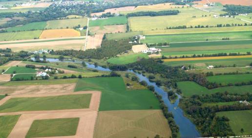 Conference 2024 Recap: Status of Forage Export Markets
