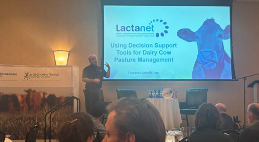 Conference 2024 Recap: Using Decision Support Tools for Dairy Cow Pasture Management