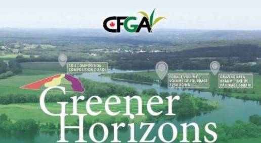 Deadline for nominations for 2025 CFGA Leadership Award is Oct. 15