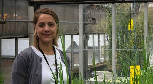 Dr. Annie Claessens Wins 2024 CFGA Leadership Award