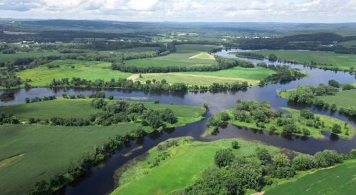 Early Bird Registration Open for 2025 CFGA Annual Conference