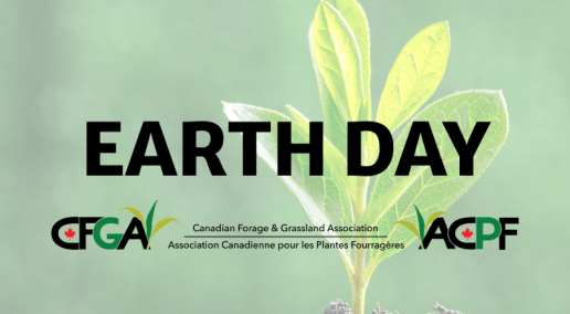 Earth Day – today and every day
