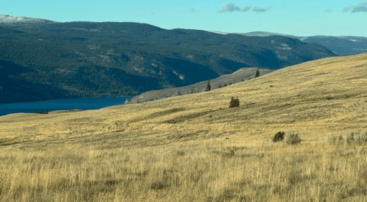 Grassland Learning and Knowledge Hub: Building Momentum for Canada&rsquo;s Grasslands
