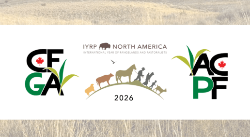 IYRP spotlight: The knowledge, traditions and benefits that sustain rangelands