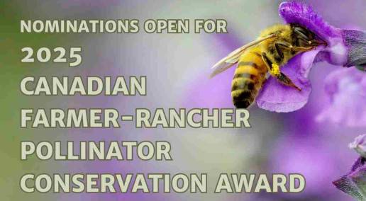 Nominations close July 1 for 2025 Farmer-Rancher Pollinator Award