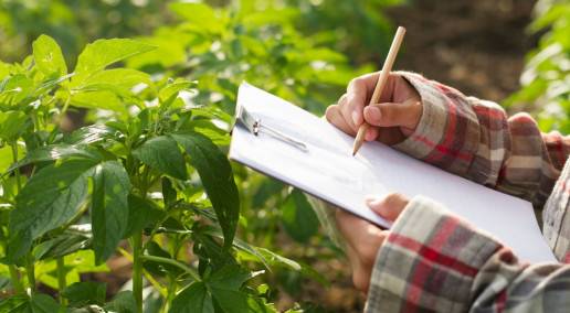 person holding a checklist looking at crops