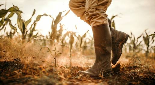 photo of person walking through muddy field