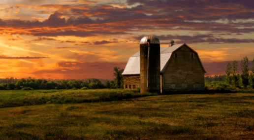 Updates on OFCAF, producer info sessions, grazing plans and training for mentors