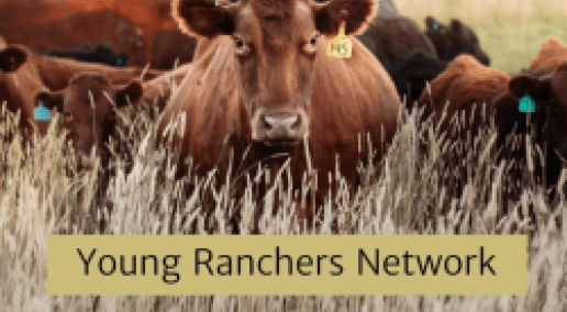Virtual Young Ranchers Network meetings are rooted in connection