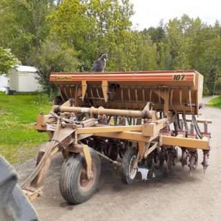 BC - Australian Ranch Ltd.