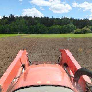 BC - Australian Ranch Ltd.