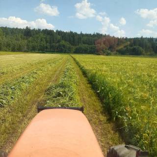 BC - Australian Ranch Ltd.