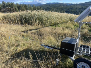 Off-site water trough using a solar panel, pump and battery to keep full.