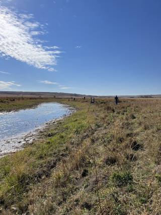 Hadwin Cattle Co Demo Site
