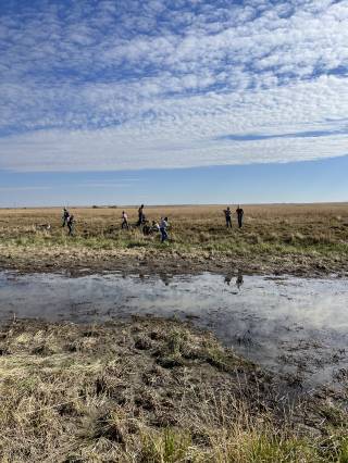 Hadwin Cattle Co Demo Site