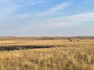 Hadwin Cattle Co Demo Site