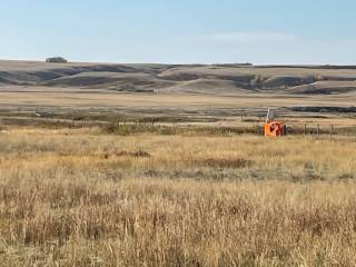 Hadwin Cattle Co Demo Site