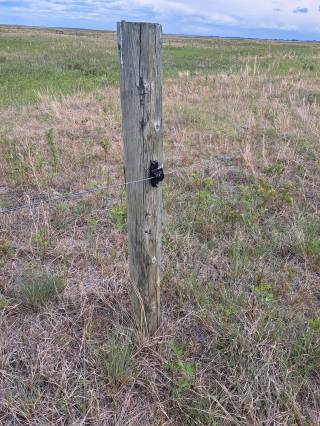 Plastic insulators on regular four-inch posts.