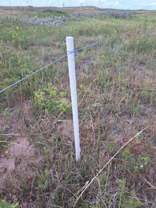 Mattheis Research Ranch Demo Site