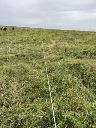 Mattheis Research Ranch Demo Site