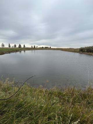 Main water source used to fill all onsite water systems.