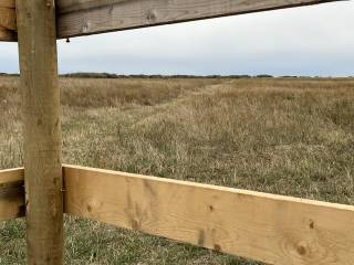 Mowed area is where pipeline was installed - note the minimal disturbance.