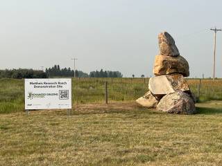 Matthius Demo Site Event