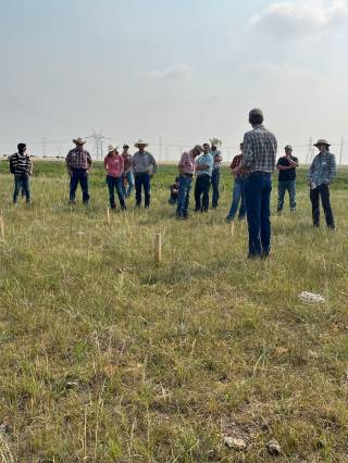 Matthius Demo Site Event