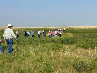 Matthius Demo Site Event