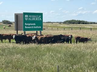 Mattheis Research Ranch Demo Site