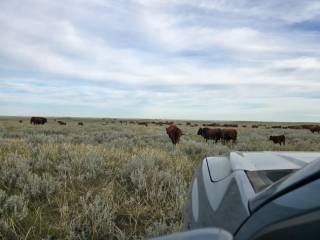 Riverview Ranch Demo Site