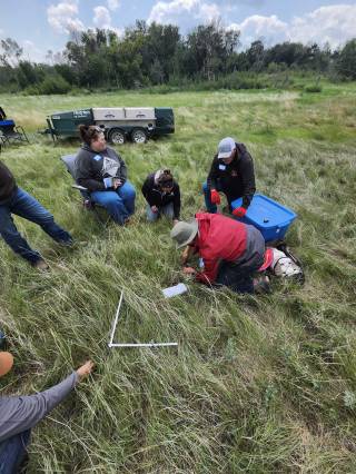 RM 3 Enniskillen Demo Site