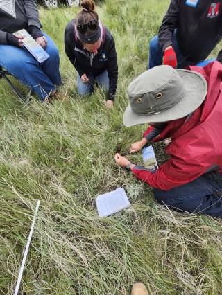 RM 3 Enniskillen Demo Site