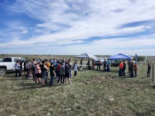 RM 3 Enniskillen Demo Site