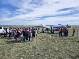 RM 3 Enniskillen Demo Site