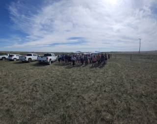 RM 3 Enniskillen Demo Site