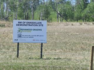 RM 3 Enniskillen Demo Site
