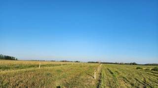 Steven Balzer Demo Site