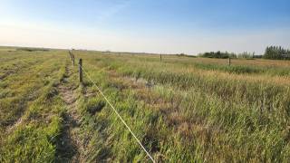 Steven Balzer Demo Site