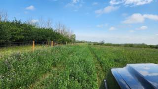 Steven Balzer Demo Site