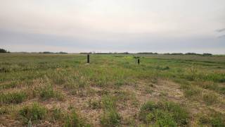 Steven Balzer Demo Site