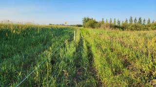 Steven Balzer Demo Site